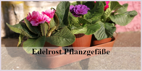 Edelrost Pflanzgefäße und Rankhilfen