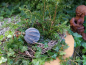 Preview: Christbaumkugel Babiole, Streifen breit, Rostoptik geeist