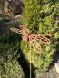 Preview: Edelrost Gartenstecker Libelle 3D, klein