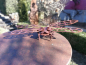 Preview: Edelrost Gartenstecker Libelle 3D, klein