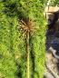Preview: Edelrost Blume Allium (Kugellauch) 3D, verblüht