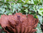 Preview: Edelrost Blume Agneta, klein