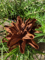 Preview: Edelrost Blume Anouke, klein