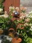Preview: Edelrost Blume mit Edelstahlkugel, klein