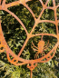 Preview: Edelrost Gartenstecker Halloween Spinne