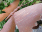 Preview: Edelrost Gartenstecker Schmetterling Bräunling