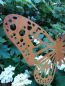 Preview: Edelrost Gartenstecker Schmetterling Maniola
