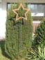 Preview: Edelrost Gartenstecker Stern offen 180 x 40 cm