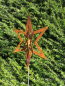 Preview: Gartenstecker Stern zum Auffächern