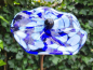 Preview: Edelrost Glasblume Hibiskus, zum Stecken, blau