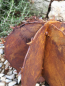Preview: Edelrost runder 3D Kaktus mit Spieß