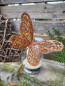 Preview: Edelrost Schmetterling Mona, mit Füßen zum Biegen