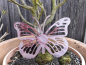 Preview: Edelrost Schmetterling Anette mit Streifen