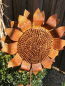 Preview: Edelrost Gartenstecker Sonnenblume 3D