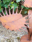Preview: Edelrost fleischfressende Pflanze (Venusfliegenfalle)