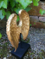 Preview: Skulptur Engelsflügel auf Podest, gold