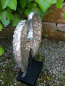 Preview: Skulptur Engelsflügel auf Podest, silber