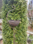 Preview: Gartenstecker Schale mit Ranke, dunkelbraun