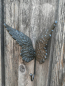Preview: Wandhaken Engelsflügel aus Gusseisen