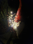 Preview: LED Weihnachtswichtel mit Zweig, rot-gold