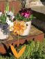Preview: Edelrostoptik Topfstecker Blume Leticia