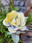 Preview: Vintage Topfstecker 3er-Blütenset Doris, pastell