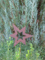 Preview: Gartenstecker Stern asymmetrisch offen aus Edelrost, klein