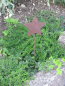 Preview: Gartenstecker Stern aus Edelrost, klein