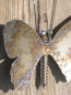 Preview: Edelstahl Schmetterling zum Hängen, 22 cm