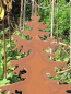 Preview: Tannenbaum auf Platte aus Edelrost, 30 cm