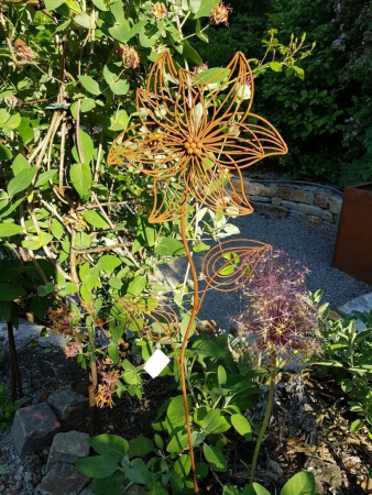 Edelrost Blüte Vittoria am Stab