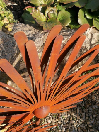 Edelrost Chrysantheme auf Platte