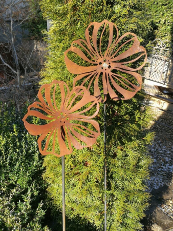 Edelrost Blume Cosmea (Schmuckkörbchen)