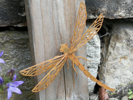 Edelrost Libelle zum Schrauben, geäderte Flügel