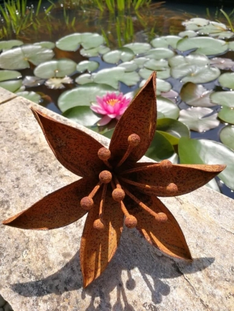 Edelrost Blume Madonnenlilie