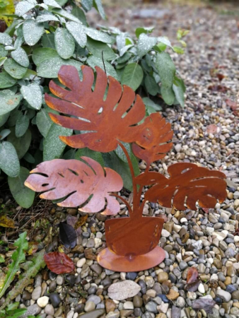 Edelrost Philodendron auf Platte