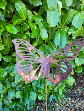 Edelrost Schmetterling Josi, am Wackelstab