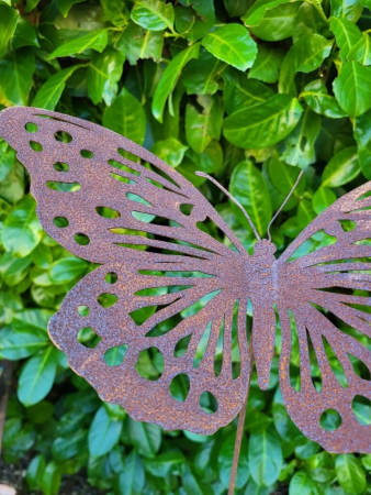 Edelrost Schmetterling Saskia, am Wackelstab