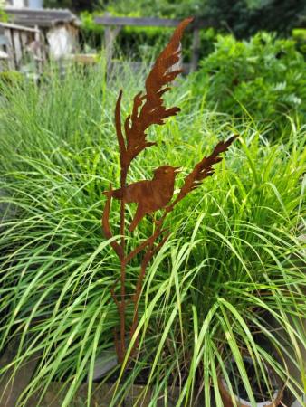 Edelrost Gartenstecker Teichrohrsänger an Schilfgras