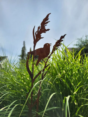 Edelrost Gartenstecker Teichrohrsänger an Schilfgras