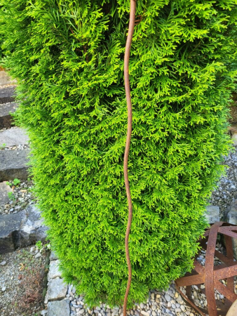 Edelrost Gartenstecker Vogelnest