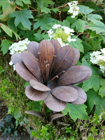 Edelrostoptik Blume Mia (runde Blätter)