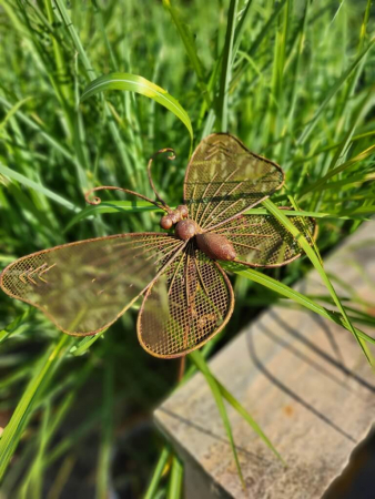 Edelrostoptik Schmetterling am Stab, Gitterflügel