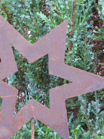 Gartenstecker Stern asymmetrisch offen aus Edelrost, groß