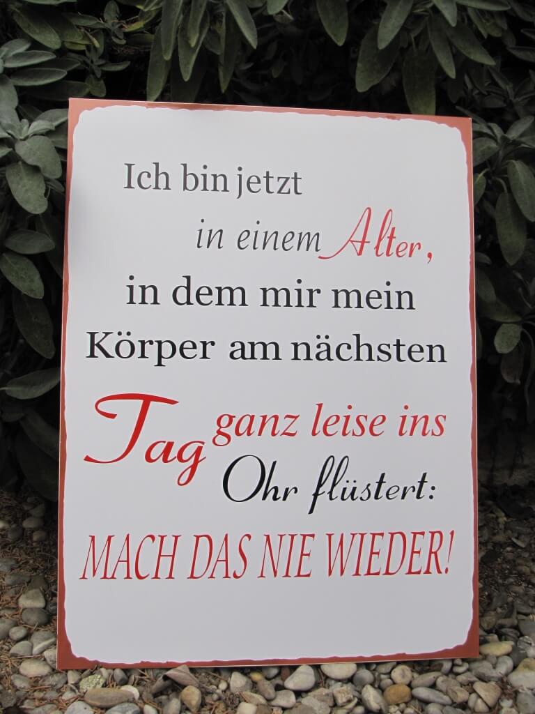 Garten Terrasse Shabby Chic Metallspruchschild Schuld