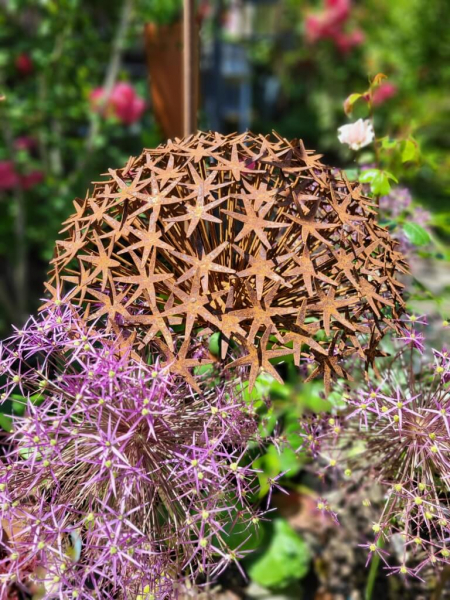 Edelrost Blume Allium, fiigran