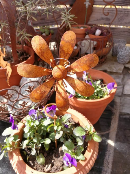 Edelrostoptik Blume Isabella, gedrehter Stab