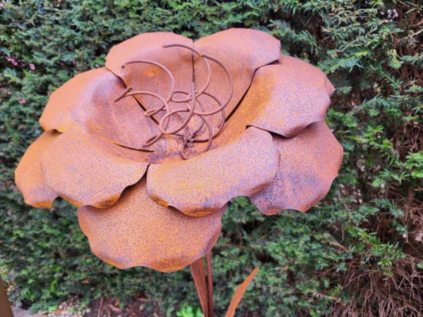 Edelrost Blume Nadja auf Platte