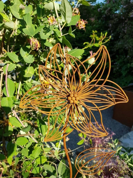 Edelrost Blüte Vittoria am Stab