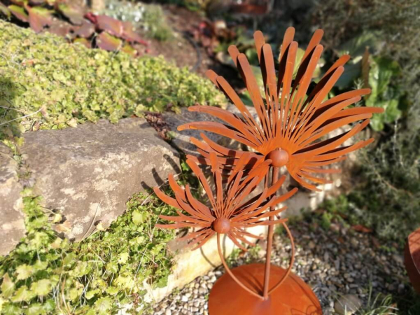 Edelrost Chrysantheme auf Platte
